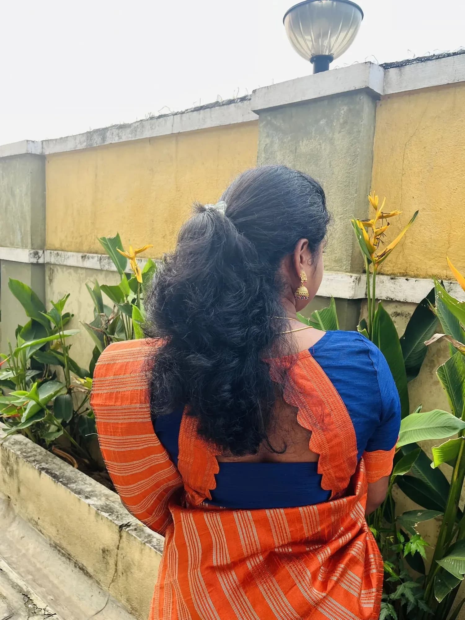 borderless saree with Zari lines(orange with blue) - Image 2