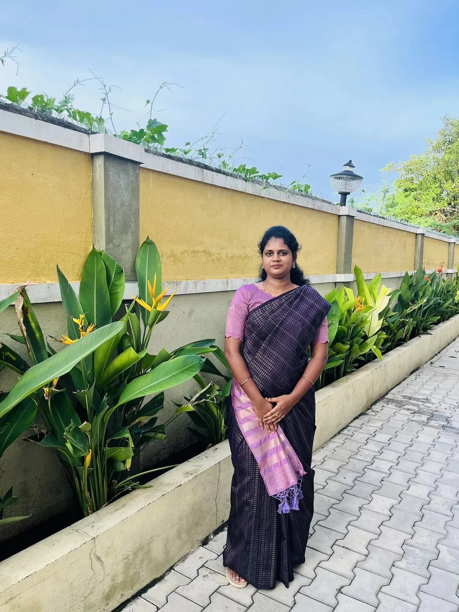 uppada silk with zari lines(JAMUN COLOUR WITH LILAC) - Image 1